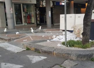 Controlli sulla differenziata a Gallipoli, ieri mattina Polizia Locale e operatori ecologici insieme per segnalare l’errato conferimento