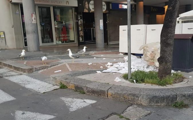 Controlli sulla differenziata a Gallipoli, ieri mattina Polizia Locale e operatori ecologici insieme per segnalare l'errato conferimento - Corriere Salentino