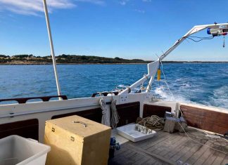 Le nanoplastiche tra i pericoli a tavola: messo a punto un nuovo metodo per individuarle dal gruppo di Chimica Analitica di Unisalento