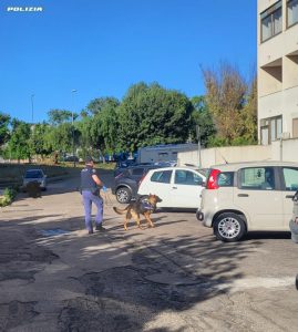 Controlli ad "alto impatto": scattano due arresti e una denuncia. Sequestrate armi e droga - Corriere Salentino