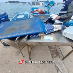 Banchi del pesce in banchina irregolari: scattano sanzioni e sequestri - Corriere Salentino