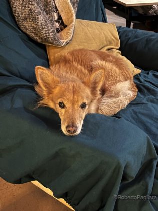 Knos Lounge: 25 anni alle Knos - Corriere Salentino