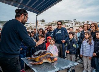 In Salento Plastic Free Onlus celebra la Giornata mondiale delle tartarughe