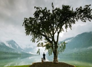 “Piante, organismi intelligenti? Rapporti con l’uomo nella vita quotidiana”