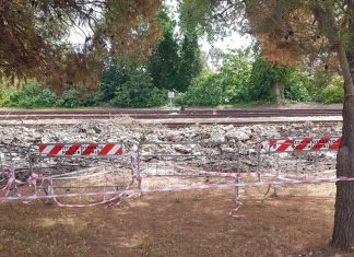 Tra i bimbi e i binari… solo rifiuti, verde selvaggio, ratti e serpenti: “Quando scoppia un incendio a rischio le nostre case”