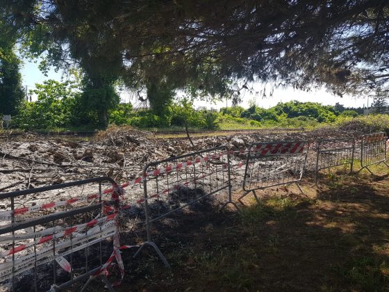 Tra i bimbi e i binari… solo rifiuti, verde selvaggio, ratti e serpenti: “Quando scoppia un incendio a rischio le nostre case” - Corriere Salentino