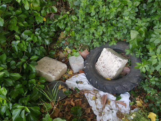 Tra i bimbi e i binari… solo rifiuti, verde selvaggio, ratti e serpenti: “Quando scoppia un incendio a rischio le nostre case” - Corriere Salentino