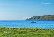 Ambiente - Corriere Salentino