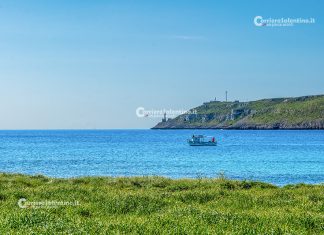 Giornata Internazionale per la Diversità Biologica, il 22 maggio una giornata di lettura animata all’aperto a Cannole