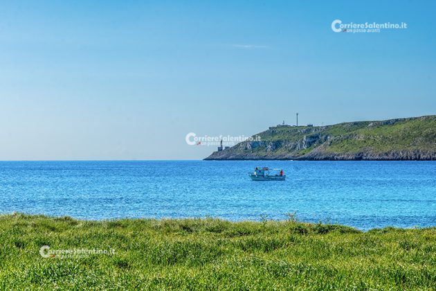 Giornata Internazionale per la Diversità Biologica, il 22 maggio una giornata di lettura animata all’aperto a Cannole - Corriere Salentino