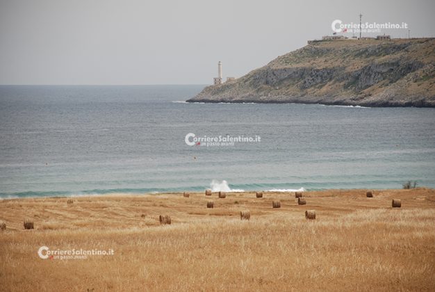 Giornata Internazionale per la Diversità Biologica, il 22 maggio una giornata di lettura animata all’aperto a Cannole - Corriere Salentino