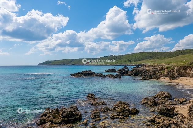 Giornata Internazionale per la Diversità Biologica, il 22 maggio una giornata di lettura animata all’aperto a Cannole - Corriere Salentino
