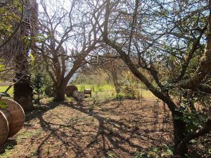 Il crossover tra Lecce e Palermo con "Sperone 167", l'evento che si prende cura delle comunità - Corriere Salentino