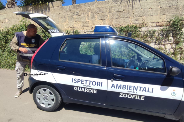 Terrore nel Capo di Leuca, anziana aggredita dal cane: è ricoverata in gravissime condizioni - Corriere Salentino