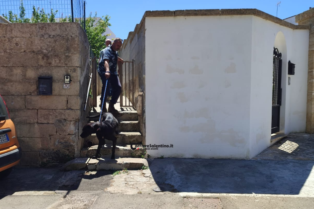 Terrore nel Capo di Leuca, anziana aggredita dal cane: è ricoverata in gravissime condizioni - Corriere Salentino