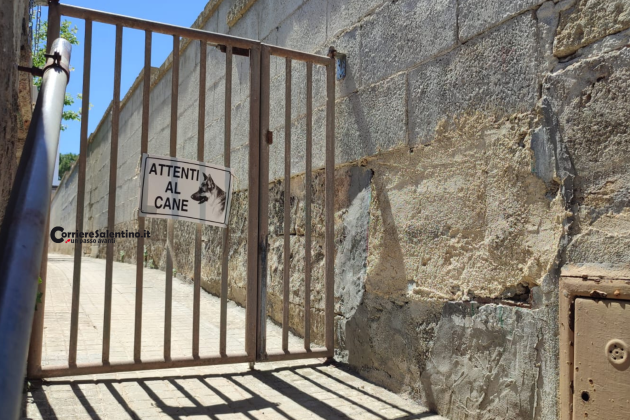 Terrore nel Capo di Leuca, anziana aggredita dal cane: è ricoverata in gravissime condizioni - Corriere Salentino