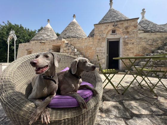 Il Salento conquista l’America: boom di acquisti di case di lusso. Ricercato Immobiliare dà vita a First Lion - Corriere Salentino