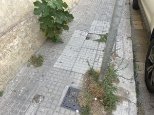 Poli Bortone proclamata sindaca: “Non città spaccata, ma democratica”. L’impegno contro la povertà con mons. Seccia e la rinascita economica” - Corriere Salentino