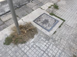 Poli Bortone proclamata sindaca: “Non città spaccata, ma democratica”. L’impegno contro la povertà con mons. Seccia e la rinascita economica” - Corriere Salentino