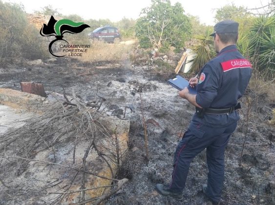 Incendia rifiuti, il rogo distrugge 2 ettari e mezzo di uliveti e terreni incolti: denunciata una donna - Corriere Salentino