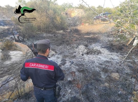 Incendia rifiuti, il rogo distrugge 2 ettari e mezzo di uliveti e terreni incolti: denunciata una donna - Corriere Salentino