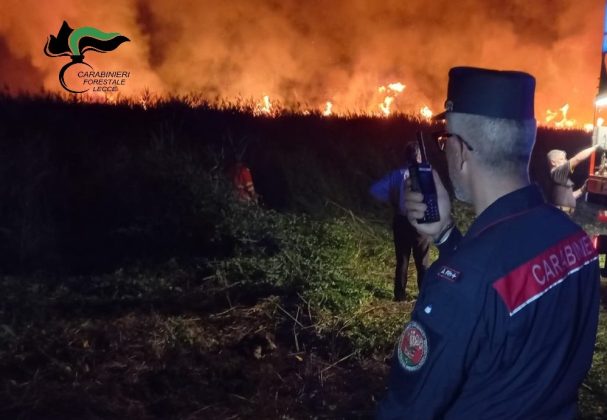 Incendia rifiuti, il rogo distrugge 2 ettari e mezzo di uliveti e terreni incolti: denunciata una donna - Corriere Salentino