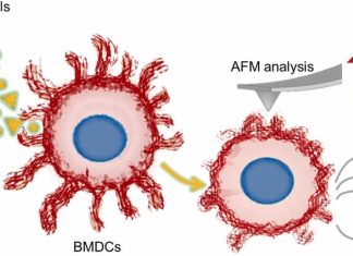 Innovativo studio di Unisalento sulle proprietà antinfiammatorie delle nanoparticelle di oro da sintesi green