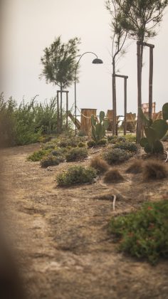 Nasce Un Nuovo Modo di Vivere lo Spazio tra Eco Design e Natura - Corriere Salentino