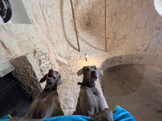 Il Salento conquista l’America: boom di acquisti di case di lusso. Ricercato Immobiliare dà vita a First Lion - Corriere Salentino