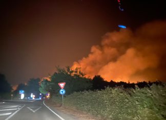 Con temperature record è allarme incendi, in 54 giorni quasi 2100 ettari a fuoco in Puglia