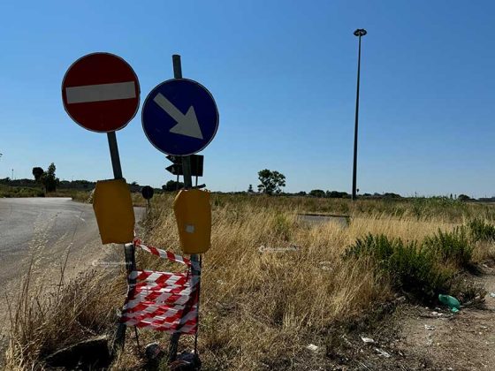 Perde il controllo dell’auto, muore avvocato 53enne: era stata candidata alle ultime elezioni comunali - Corriere Salentino