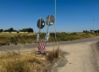 Avvocata morta in un incidente stradale, i familiari: “Indagate sull’airbag, troppe auto già sequestrate per un difetto”