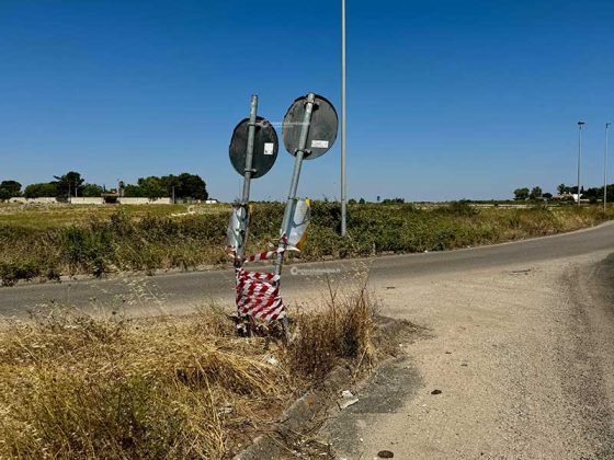 Perde il controllo dell’auto, muore avvocato 53enne: era stata candidata alle ultime elezioni comunali - Corriere Salentino