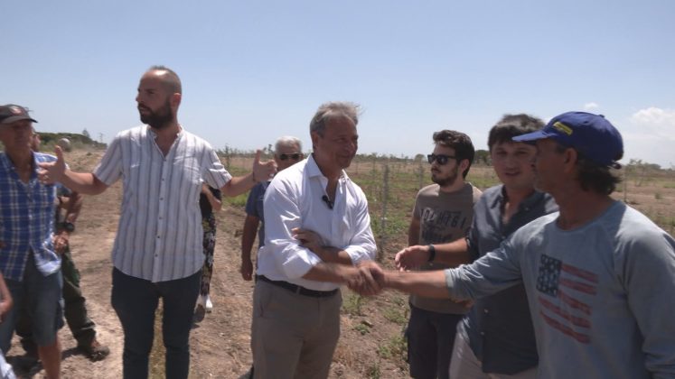 Siccità, desertificazione, danni da cambiamenti climatici e xylella. Mozione Pagliaro: "sgravi e ristori per gli agricoltori salentini" - Corriere Salentino