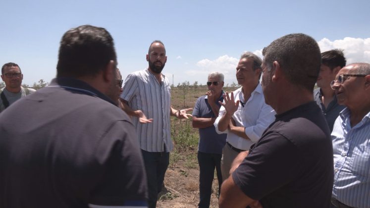 Siccità, desertificazione, danni da cambiamenti climatici e xylella. Mozione Pagliaro: "sgravi e ristori per gli agricoltori salentini" - Corriere Salentino