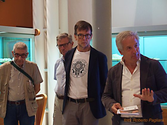 Zygophyseter, testimonianza di 9 milioni di anni fa al Maus di Unisalento - Corriere Salentino