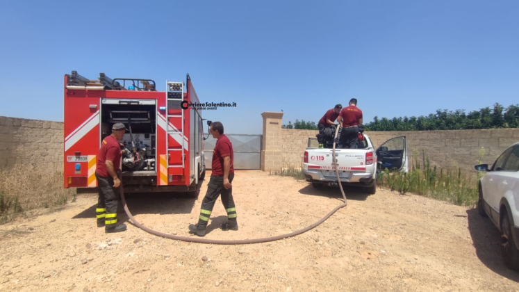 Paura nelle campagne del Salento: ulivi in fiamme a pochi passi dalle abitazioni - Corriere Salentino