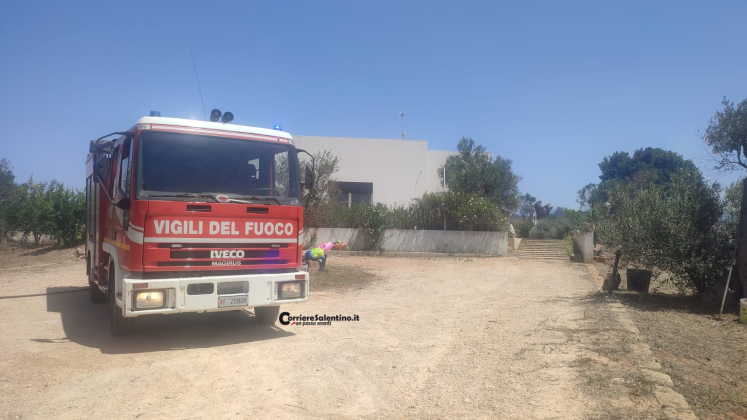 Paura nelle campagne del Salento: ulivi in fiamme a pochi passi dalle abitazioni - Corriere Salentino