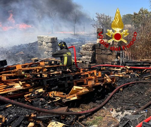 Fiamme divampano in un deposito di cassette di legno e plastica: tratto in salvo un cavallo in pericolo - Corriere Salentino