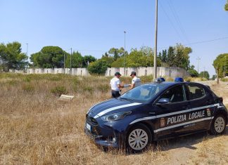 Incendi boschivi: controlli a tappeto della polizia locale. Scattano sanzioni