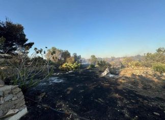Grave episodio a Parabita: “sito archeologico gravemente danneggiato dalle fiamme”. L’opposizione polemizza, il sindaco replica
