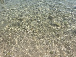 Porto Selvaggio è la spiaggia più amata dai turisti: ambiente incontaminato, polmone verde con paesaggio mozzafiato anche grazie a Renata Fonte - Corriere Salentino