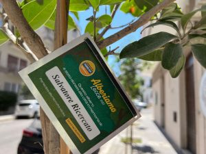 Il nuovo volto del quartiere San Lazzaro tra tutela del patrimonio storico, progresso e degrado. La parola a Stefano Ricercato - Corriere Salentino