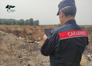 Incendi appiccati nella zona di Racale: piromane colto sul fatto dai Carabinieri Forestali