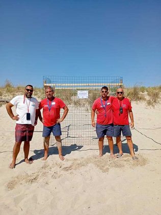 Le Caretta Caretta depongono le uova sul litorale di Ugento - Corriere Salentino