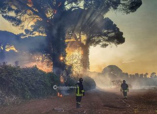 Inferno di fuoco nel Basso Salento: fiamme raggiungono una zona boschiva. Complesse le operazioni di soccorso