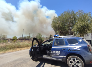 Fiamme nel Parco di Ugento, il rogo minaccia un resort distrutto dal fuoco nel 2023: arrivano i Canadair