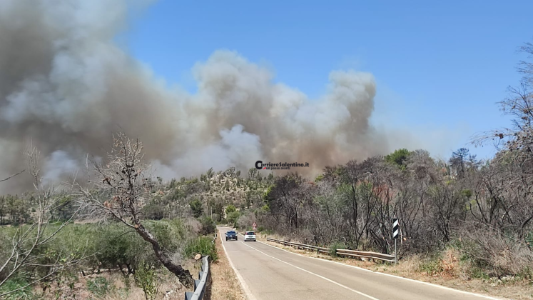Fiamme nel Parco di Ugento, il rogo minaccia un resort distrutto dal fuoco nel 2023: arrivano i Canadair - Corriere Salentino