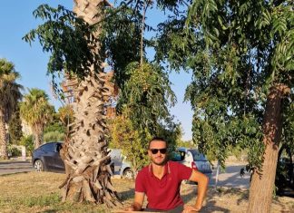 Colonie feline, arrivano le “postazioni pappa” a Nardò