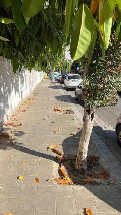 Il nuovo volto del quartiere San Lazzaro tra tutela del patrimonio storico, progresso e degrado. La parola a Stefano Ricercato - Corriere Salentino